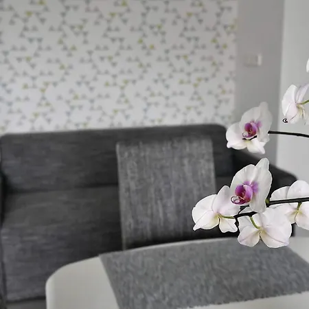 Aquarium Guest house *