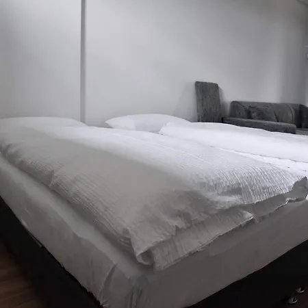 Aquarium Guest house